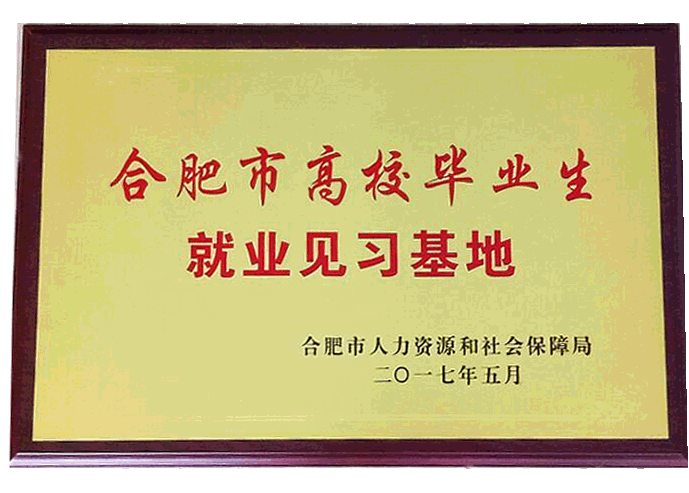 喜讯：公司“合肥市高校毕业生就业 见习基地”申报成功